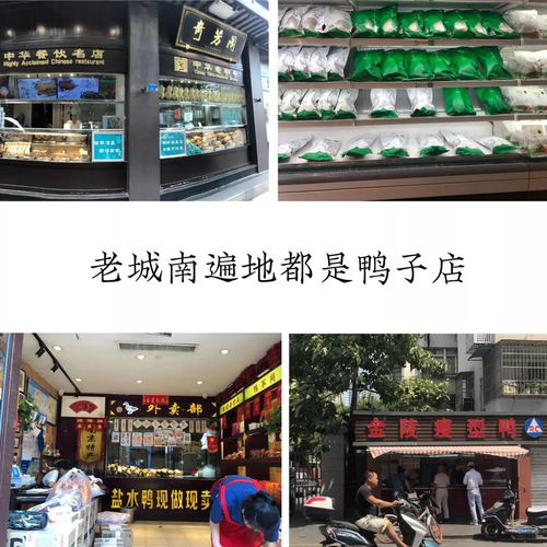 南京6天暑期课回顾丨伦艺,不过如此