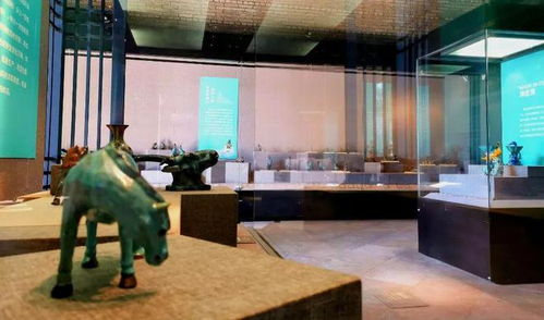 六类展览各具特色不容错过,送上开春 文旅大餐
