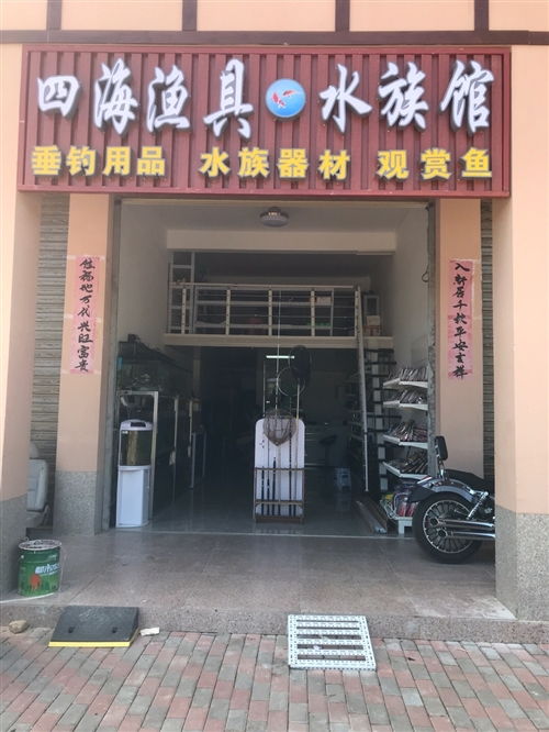 七坊四海渔具水族馆 钓鱼用品与水族艺术的完美融合